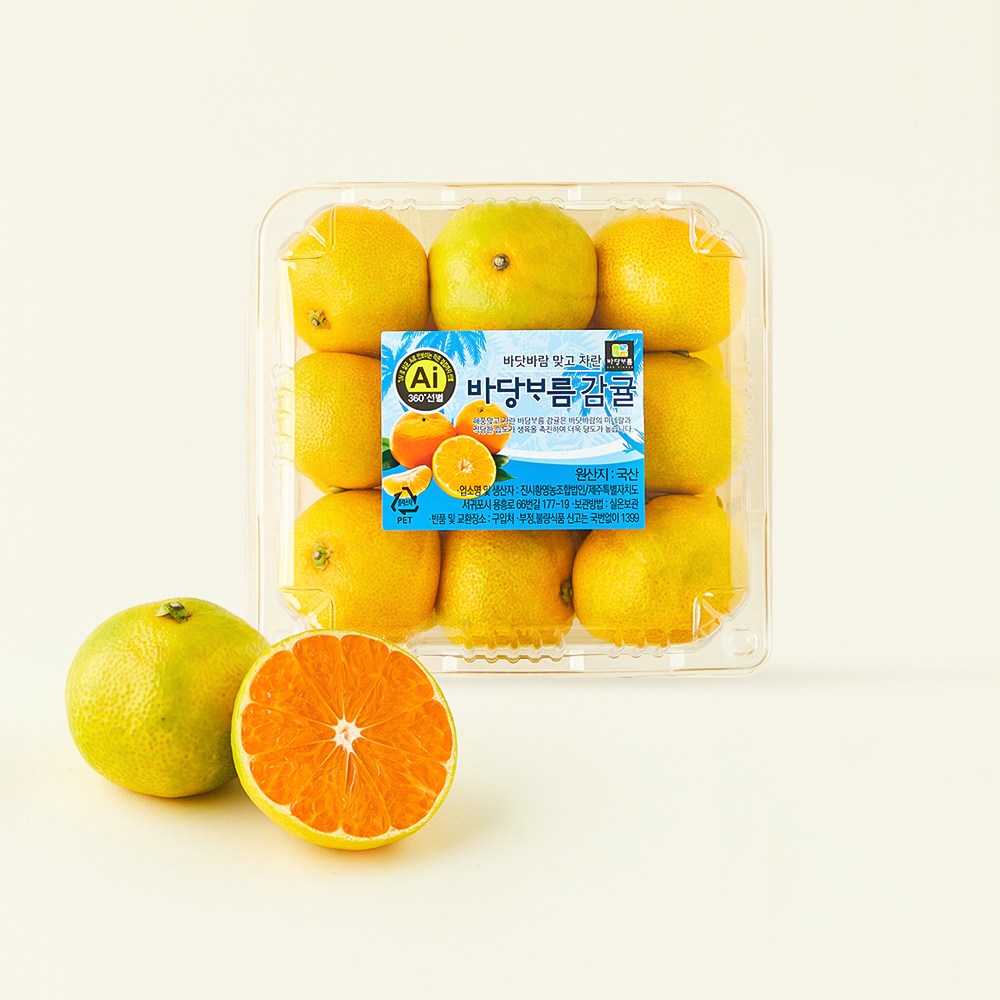바당보름 AI 당도선별 감귤, 5개, 800g(로열과)