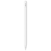 Apple 애플펜슬 USB-C MUWA3KH/A, 1개