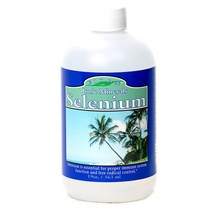 이돈미네랄서플리먼츠 셀레늄 글루텐 프리 비건 무설탕, 563ml, 1개