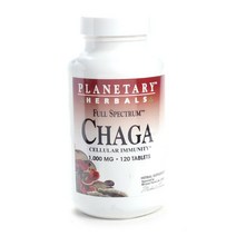 플래너터리허벌스 차가버섯 1000mg 타블렛, 120개입, 1개