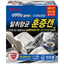 불스원 에어컨 히터 훈증캔 민트향, 4.8g, 1개
