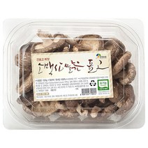 현재농원 소백산 맑은 건표고 버섯, 100g, 1개