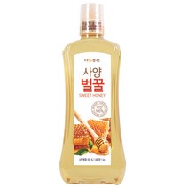 다농원 사양벌꿀, 1kg, 1개