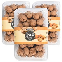 산천농원 충북 영동 소백산 알호두, 500g, 3개