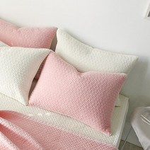 쉬즈홈 힐링 피그먼트 베개커버