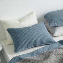 쉬즈홈 힐링 피그먼트 베개커버