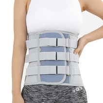 AOS 121 WAIST BACK BRACE 허리보조기 M, 1개