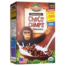 네이쳐패스 초코침스, 284g, 1봉