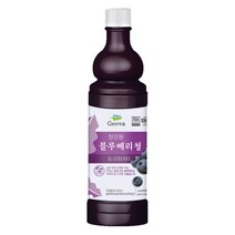 건강스토리 블루베리청 엑기스, 900ml, 1개