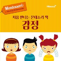 [엠베스코]처음 만나는 몬테소리 책 감정 (양장), 엠베스코
