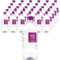 몽베스트 생수, 1L, 96개