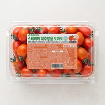 완숙토마토3kg 싸게파는 인기 상품 중 가성비 좋은 제품 추천