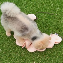 비타그램 반려생각 노즈플라워 장난감 990 x 120 mm, 1개