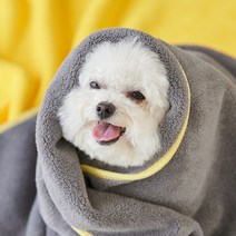 비타그램 반려생각 조이타월, 그레이