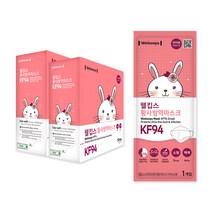 웰킵스 황사 방역 마스크 소형 KF94, 1개입, 100개