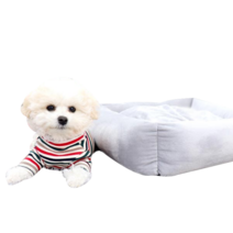 레드퍼피 몰리 스토리 사각방석, 파스텔그레이