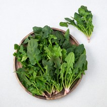 친환경 남해시금치, 300g, 1개