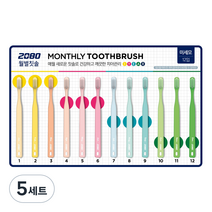 2080 미세모 월별칫솔 Season2, 12개입, 5세트