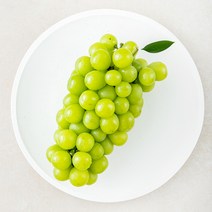 다조은 샤인머스켓, 1박스, 1kg