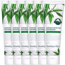 부케가르니 나드 솔트 잇몸 치약, 100g, 6개