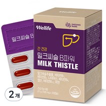 대상웰라이프 밀크씨슬 B파워 21g, 30정, 2개