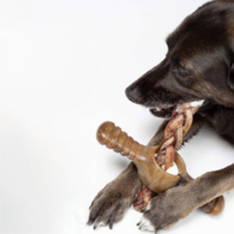 베네본 포플렉서 치킨맛 강아지 덴탈 장난감 SMALL, 혼합색상, 1개