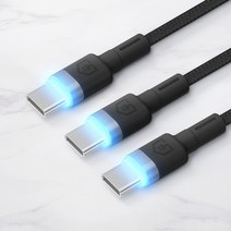 홈플래닛 C타입 CtoA LED라이팅 고속충전케이블, 2m, 블랙, 3개
