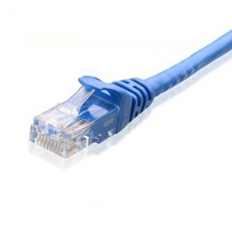 애니포트플러스 CAT.5E 랜선 30m, 블루, 1개
