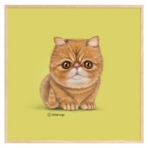 아이비스킷 캔버스액자 20x20 이그저틱, 내츄럴