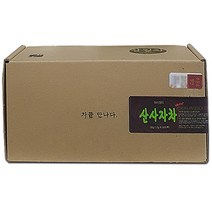 아이앤티 산사자차, 1g, 50개