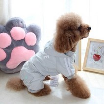 코코아허니 강아지 무지개 바람막이 비옷, 그레이