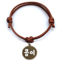 펫츠룩 굿모닝 카라멜 반려동물 목걸이 M + 메탈원형 팬던트 S, 골드(콩이), 1개
