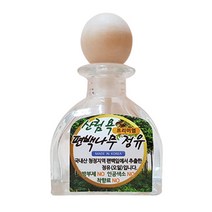 친환경편백아트 편백나무 프리미엄 정유 차량용 디퓨저 50ml + 디퓨저소품, 1세트