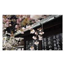 UVDS 주방 강화유리 아트보드 사당에 핀 꽃, 1개