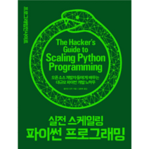 실전 스케일링 파이썬 프로그래밍:오픈 소스 개발자들에게 배우는 대규모 파이썬 개발 노하우, 인사이트