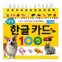 생생 한글 카드 100:생생한 그림에 생생한 생각을 더해주는, 달리는곰셋