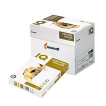 몬디 다용도 복사용지 120g IQ SELECTION, A3, 2000매
