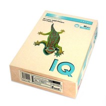 몬디 IQ COLOR 색상지 CR20 크림색 80g, A4, 500매