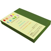뉴씨플레인 종이문화 양면색상지 No62 솔잎색 140p, 1개