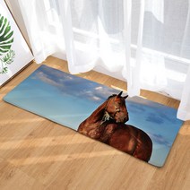 이지웜 지브라 발매트, A-16