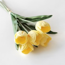블루밍앤미 망고 튤립 조화 번들 5p, 옐로우