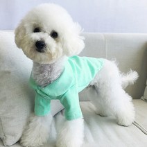 베이비도그 둥근카라티 DT025, 민트