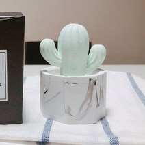 미쁘다 육각마블선인장 석고방향제 그린, 헤스페리데스