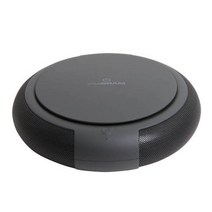 비타그램 차량용 공기청정기, PE-02