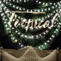 메이코글로벌 럭셔리 앵두 줄조명 20등 2p, 혼합 색상