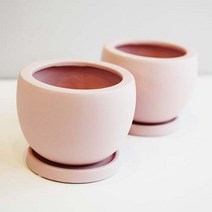 도시정원 모던 반구 도자기 화분 2p, 핑크