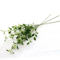 다우에프앤지 그린열매 조화 가지, 혼합색상, 3개