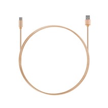 넥스트 USB 3.1 to 타입C 고속충전 데이터 케이블 NEXT-1526C, 골드, 1개