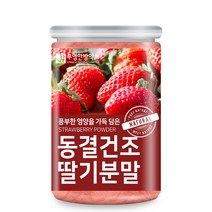 부영한방약초 동결건조 딸기 분말, 200g, 1개