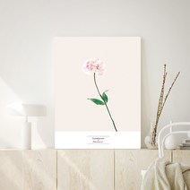 오홀리브 접이식 액자 테이블 중 72 x 48 x 27 cm, 23 리시안셔스